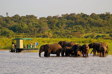 Zimbabwe-Victoria Falls-Zambezi National Park & Victoria Falls Safari Ride